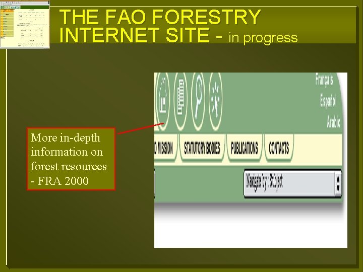 THE FAO FORESTRY INTERNET SITE - in progress More in-depth information on forest resources