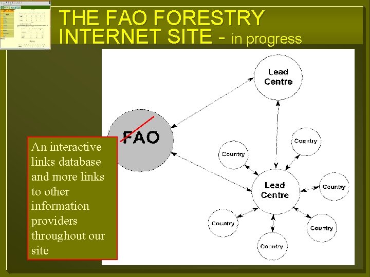 THE FAO FORESTRY INTERNET SITE - in progress An interactive links database and more