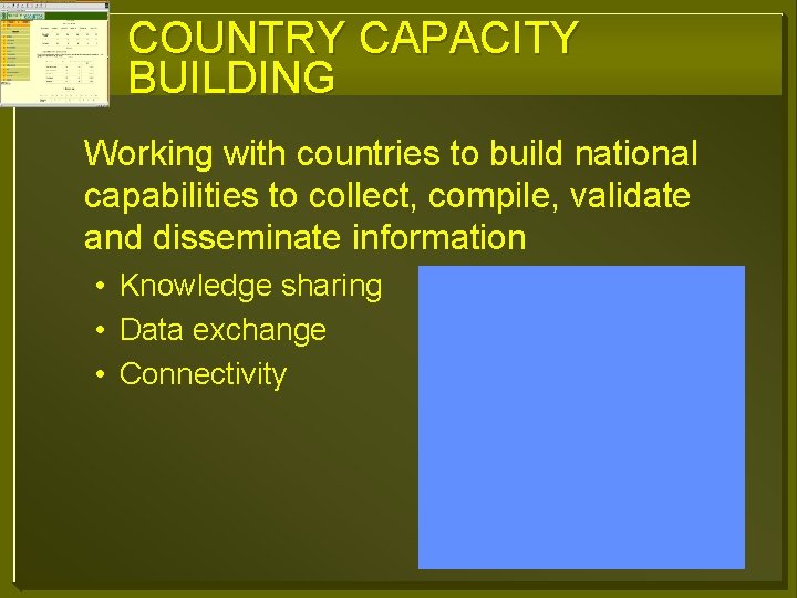 COUNTRY CAPACITY BUILDING Working with countries to build national capabilities to collect, compile, validate