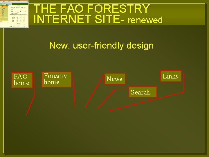 THE FAO FORESTRY INTERNET SITE- renewed New, user-friendly design FAO home Forestry home Links