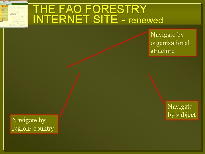 THE FAO FORESTRY INTERNET SITE - renewed Navigate by organizational structure Navigate by region/