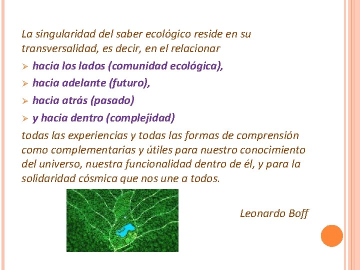La singularidad del saber ecológico reside en su transversalidad, es decir, en el relacionar