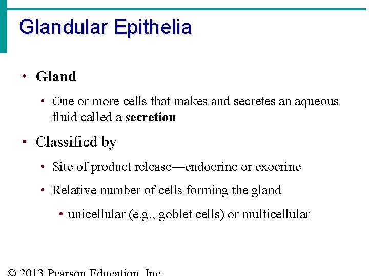 Glandular Epithelia • Gland • One or more cells that makes and secretes an