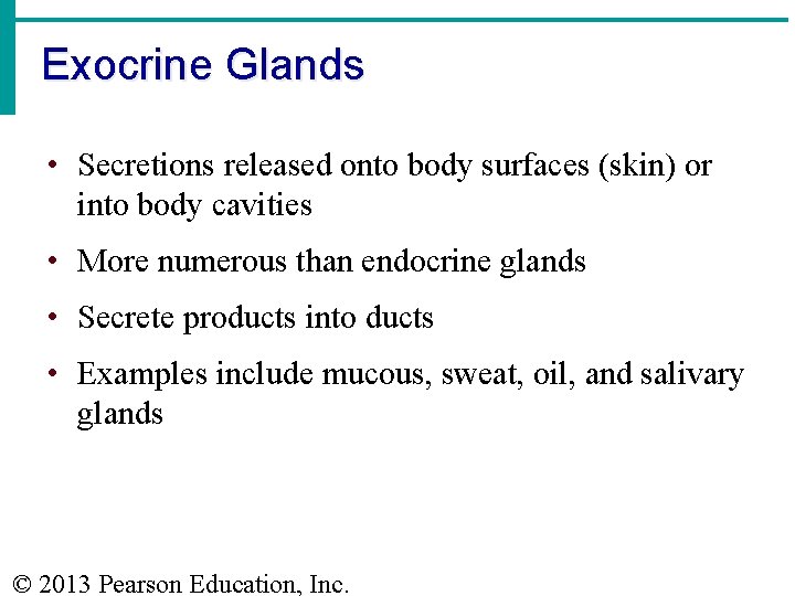 Exocrine Glands • Secretions released onto body surfaces (skin) or into body cavities •