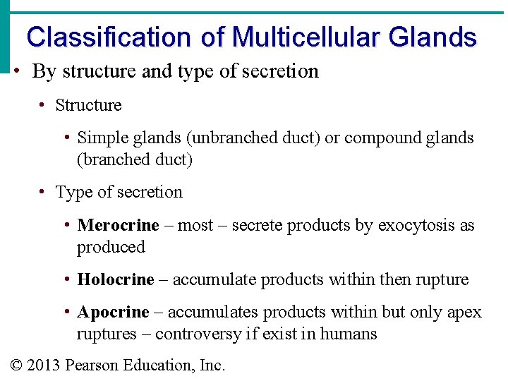 Classification of Multicellular Glands • By structure and type of secretion • Structure •
