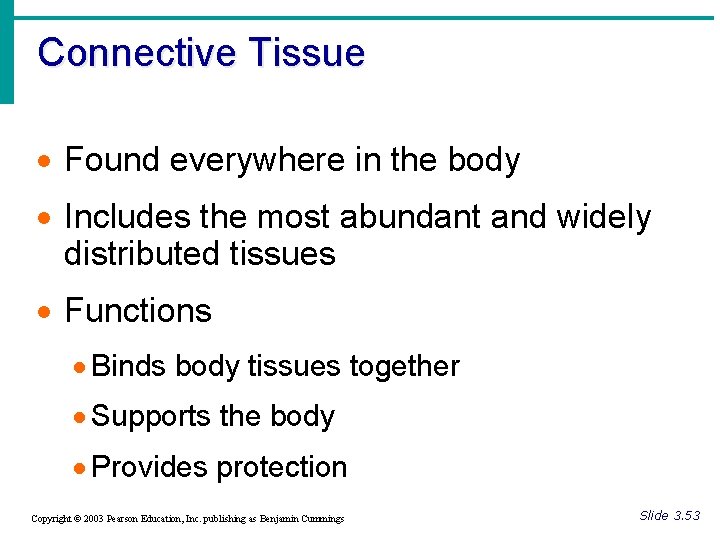 Connective Tissue · Found everywhere in the body · Includes the most abundant and