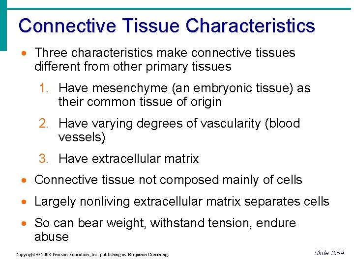 Connective Tissue Characteristics · Three characteristics make connective tissues different from other primary tissues
