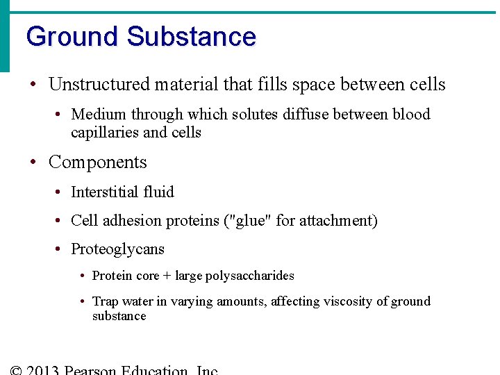 Ground Substance • Unstructured material that fills space between cells • Medium through which
