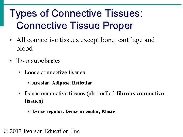 Types of Connective Tissues: Connective Tissue Proper • All connective tissues except bone, cartilage