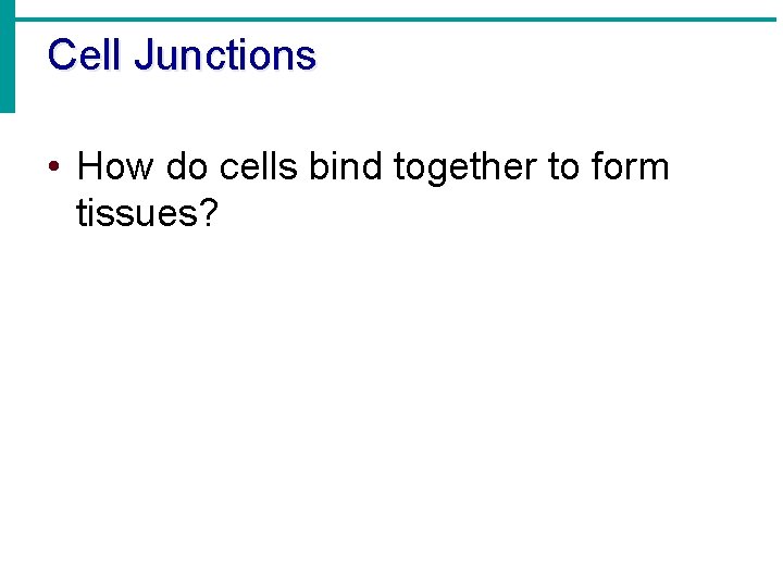 Cell Junctions • How do cells bind together to form tissues? 