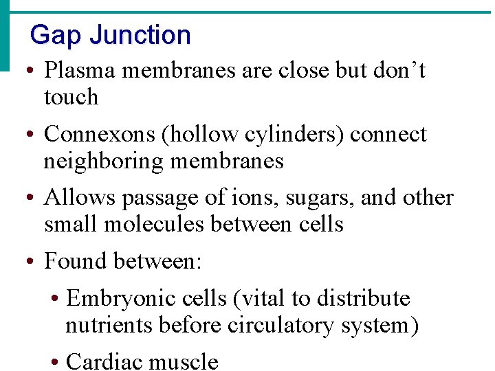Gap Junction • Plasma membranes are close but don’t touch • Connexons (hollow cylinders)