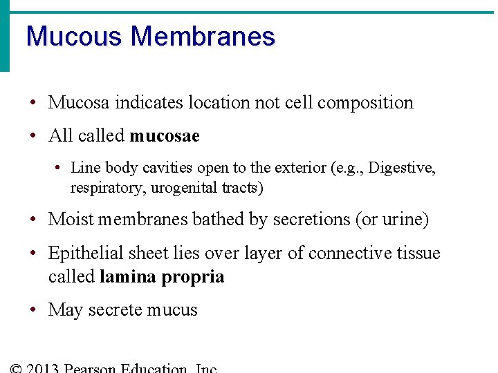 Mucous Membranes • Mucosa indicates location not cell composition • All called mucosae •