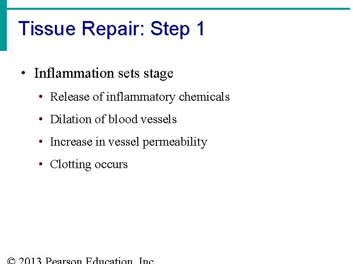 Tissue Repair: Step 1 • Inflammation sets stage • Release of inflammatory chemicals •