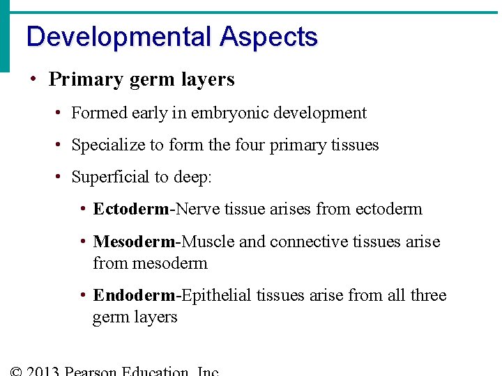 Developmental Aspects • Primary germ layers • Formed early in embryonic development • Specialize