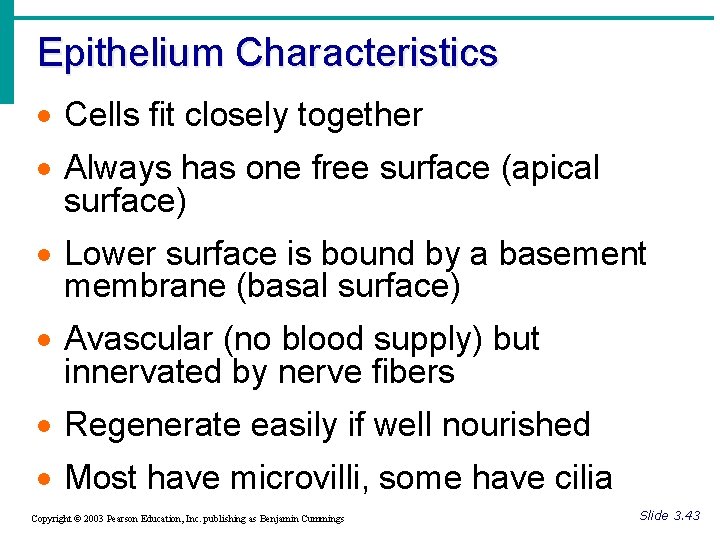 Epithelium Characteristics · Cells fit closely together · Always has one free surface (apical