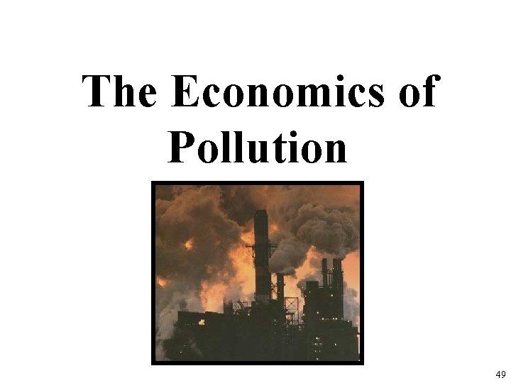 The Economics of Pollution 49 