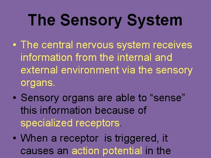 The Sensory System • The central nervous system receives information from the internal and