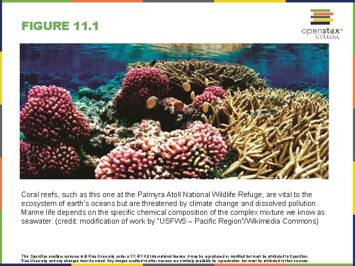 FIGURE 11. 1 Coral reefs, such as this one at the Palmyra Atoll National FIGURE 11. 1 Coral reefs, such as this one at the Palmyra Atoll National