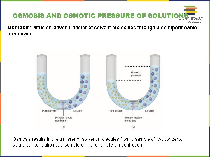 OSMOSIS AND OSMOTIC PRESSURE OF SOLUTIONS Osmosis: Diffusion-driven transfer of solvent molecules through a OSMOSIS AND OSMOTIC PRESSURE OF SOLUTIONS Osmosis: Diffusion-driven transfer of solvent molecules through a