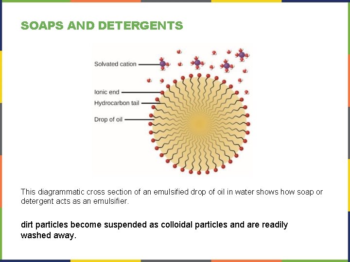 SOAPS AND DETERGENTS This diagrammatic cross section of an emulsified drop of oil in SOAPS AND DETERGENTS This diagrammatic cross section of an emulsified drop of oil in