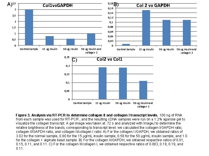 Figure 1 LiveDead assay of cells in High