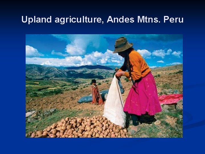 Upland agriculture, Andes Mtns. Peru 