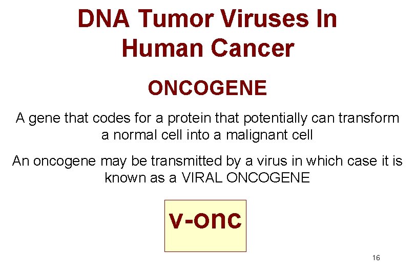 DNA Tumor Viruses In Human Cancer ONCOGENE A gene that codes for a protein