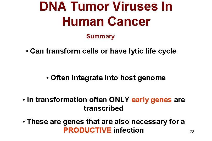 DNA Tumor Viruses In Human Cancer Summary • Can transform cells or have lytic