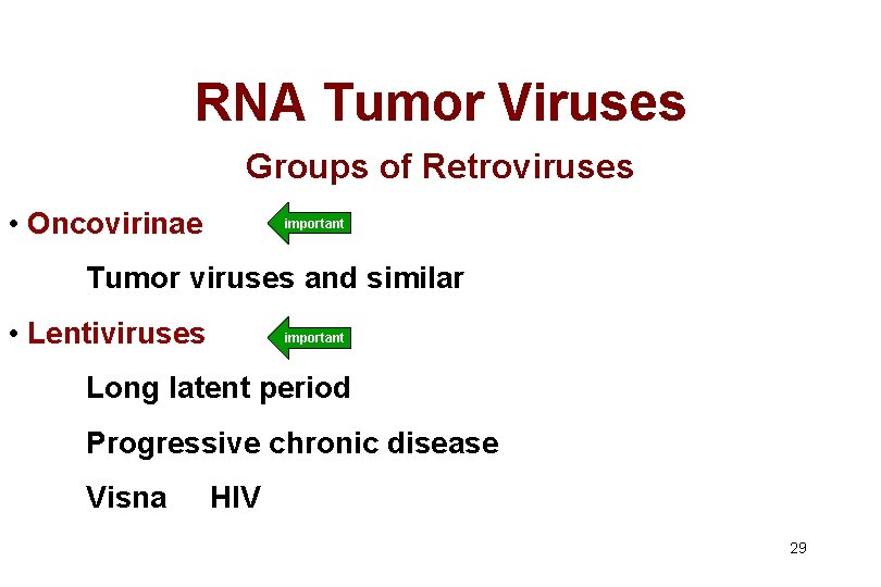 RNA Tumor Viruses Groups of Retroviruses • Oncovirinae important Tumor viruses and similar •