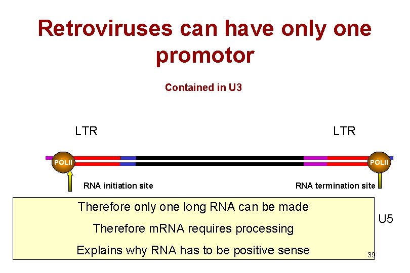 Retroviruses can have only one promotor Contained in U 3 LTR POLII RNA initiation