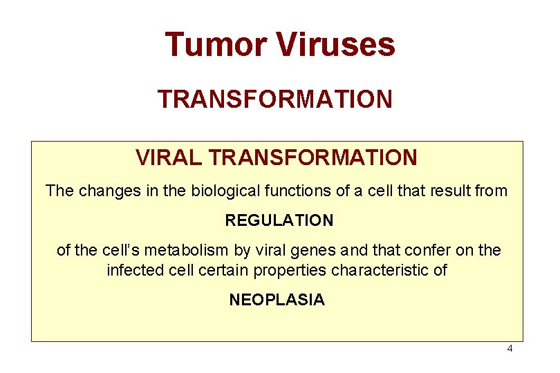 Tumor Viruses TRANSFORMATION VIRAL TRANSFORMATION The changes in the biological functions of a cell