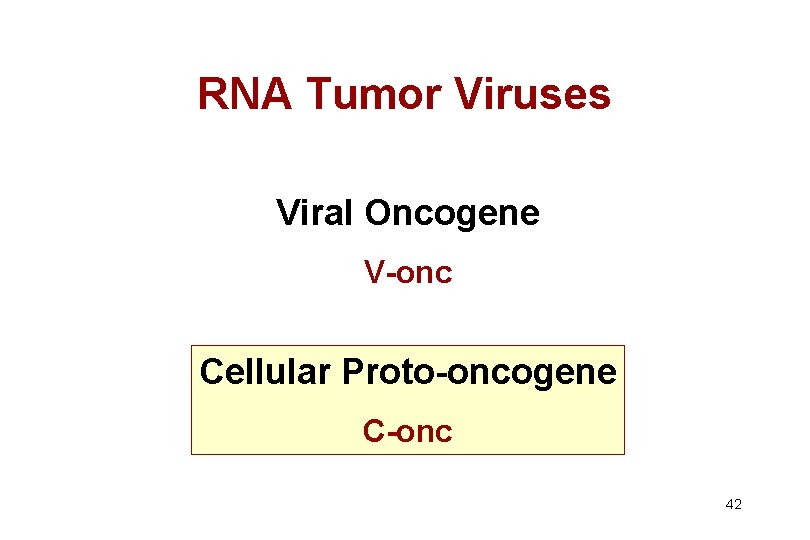 RNA Tumor Viruses Viral Oncogene V-onc Cellular Proto-oncogene C-onc 42 
