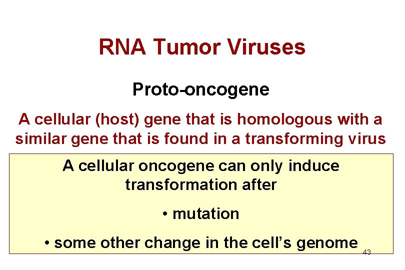 RNA Tumor Viruses Proto-oncogene A cellular (host) gene that is homologous with a similar