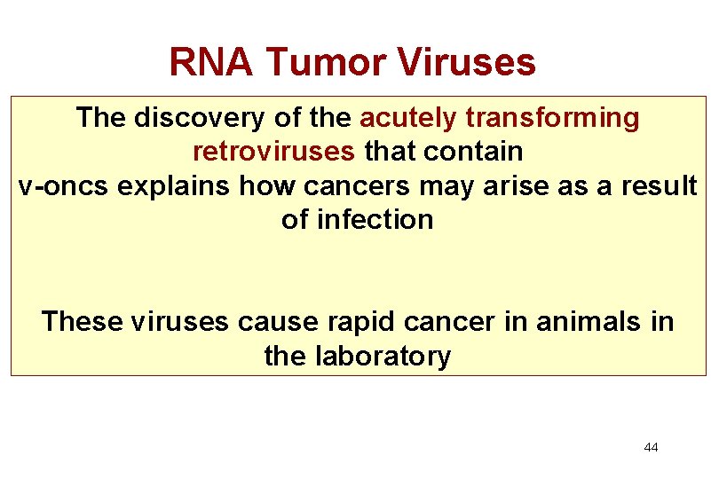 RNA Tumor Viruses The discovery of the acutely transforming retroviruses that contain v-oncs explains