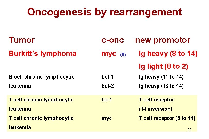 Oncogenesis by rearrangement Tumor c-onc Burkitt’s lymphoma myc (8) new promotor Ig heavy (8