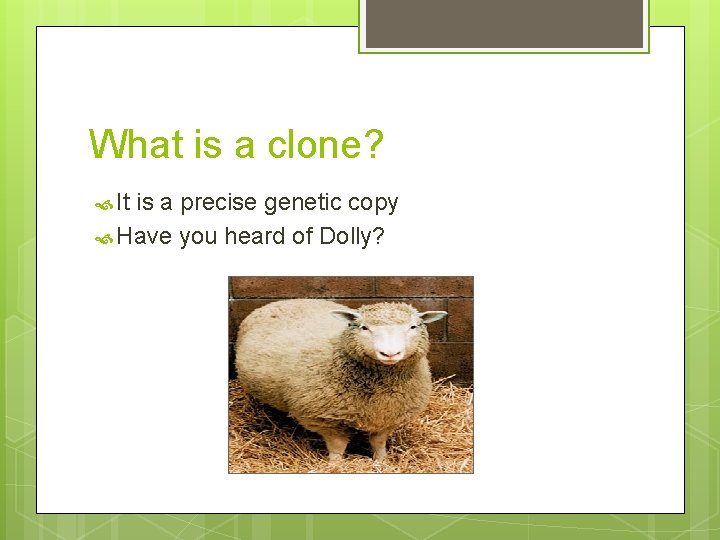 What is a clone? It is a precise genetic copy Have you heard of