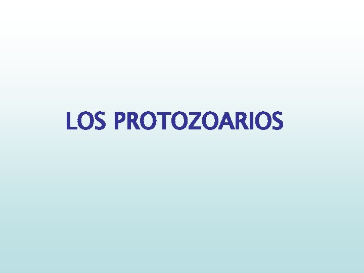 LOS PROTOZOARIOS 