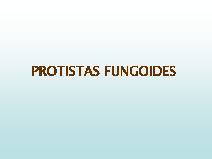 PROTISTAS FUNGOIDES 