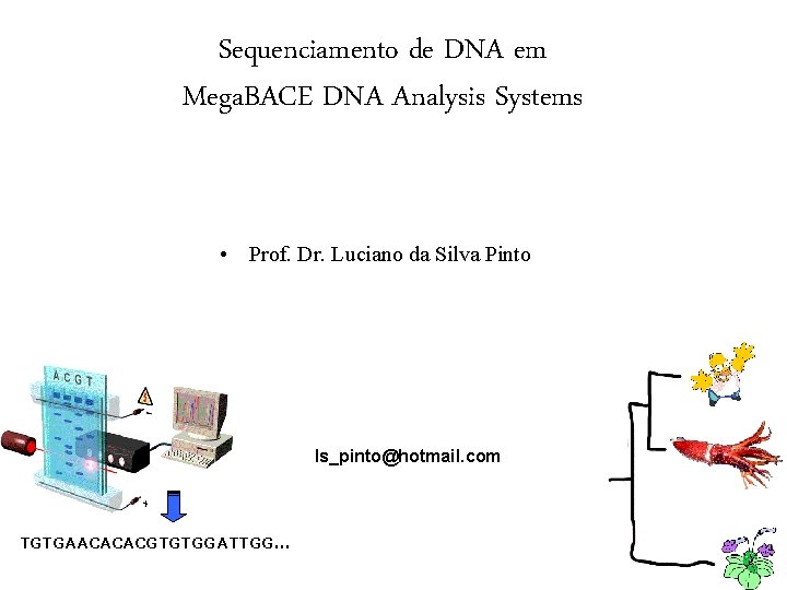 Sequenciamento de DNA em Mega. BACE DNA Analysis Systems • Prof. Dr. Luciano da