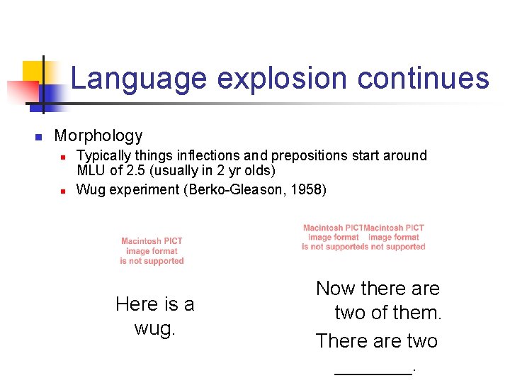 Language explosion continues n Morphology n n Typically things inflections and prepositions start around