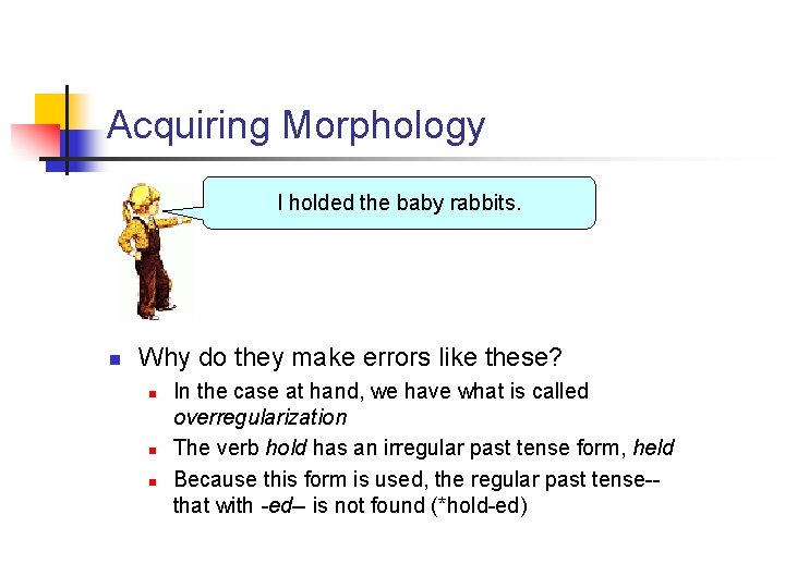Acquiring Morphology I holded the baby rabbits. n Why do they make errors like