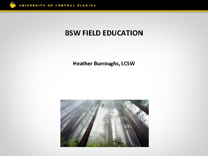 BSW FIELD EDUCATION Heather Burroughs, LCSW 