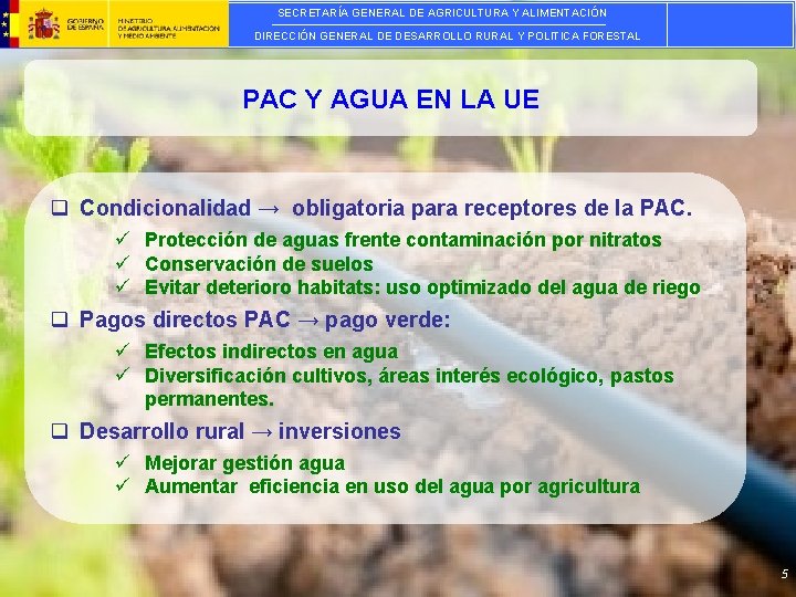 SECRETARÍA GENERAL DE AGRICULTURA Y ALIMENTACIÓN DIRECCIÓN GENERAL DE DESARROLLO RURAL Y POLITICA FORESTAL