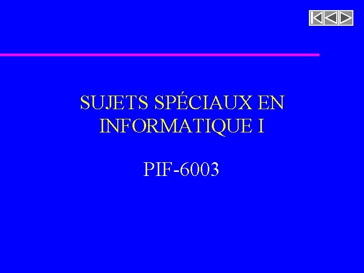 SUJETS SPÉCIAUX EN INFORMATIQUE I PIF-6003 