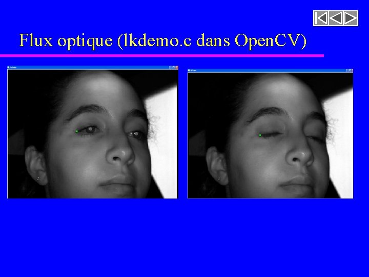 Flux optique (lkdemo. c dans Open. CV) 