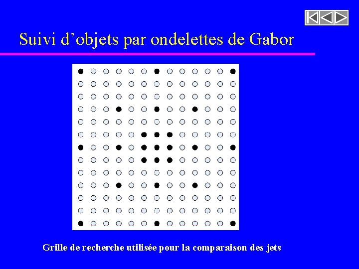 Suivi d’objets par ondelettes de Gabor Grille de recherche utilisée pour la comparaison des