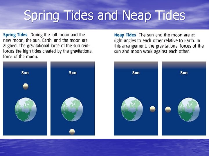 Spring Tides and Neap Tides 