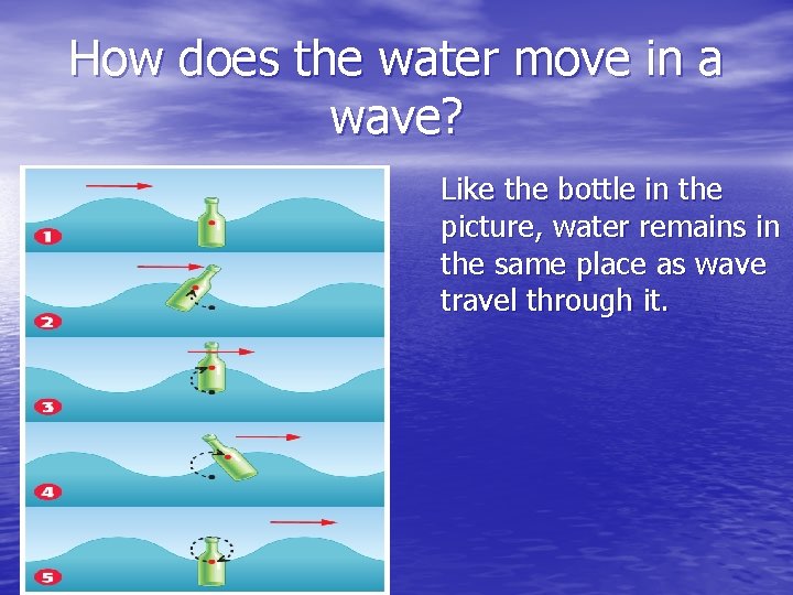 How does the water move in a wave? Like the bottle in the picture,