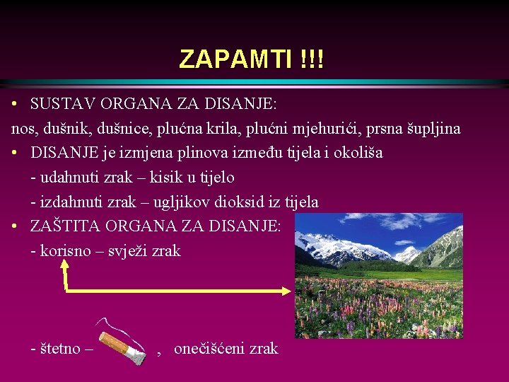 ZAPAMTI !!! • SUSTAV ORGANA ZA DISANJE: nos, dušnik, dušnice, plućna krila, plućni mjehurići,