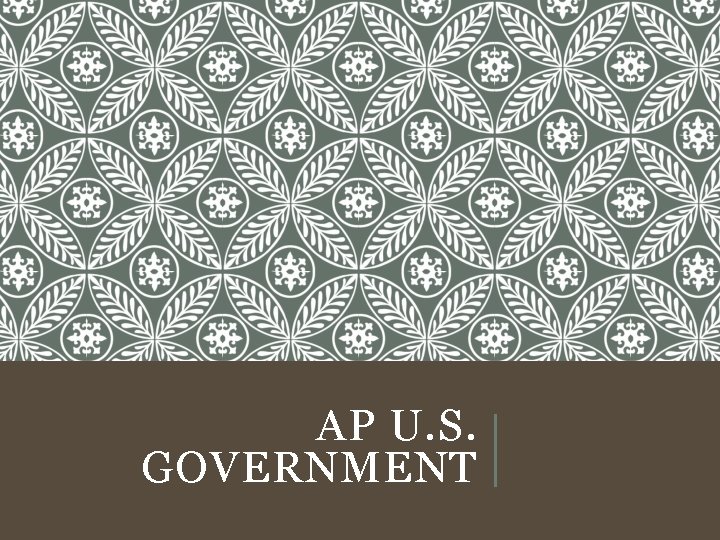 AP U. S. GOVERNMENT 